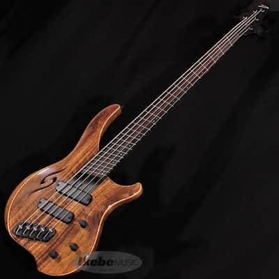 DINGWALL AfterBurner II 5st Fretless -Claro Walnut Top/Walnut Back/Wenge Neck- (Special Price) image 2