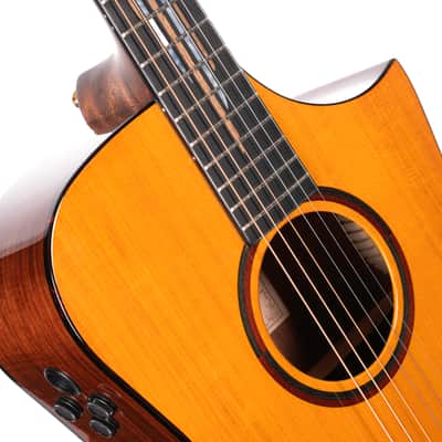 Cort LUXEII Frank Gambale Concert Body Mahogany Nek 6-String Acoustic-Electric Guitar w/Hard Case image 3