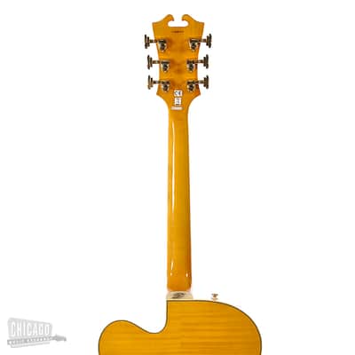Eastwood Doral Hollowbody Electric Natural image 7