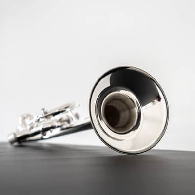 Yamaha YTR-9445NYS-YS III New York Artist Model C Trumpet (SN D593xx) image 14
