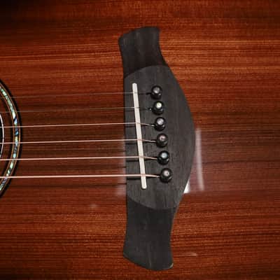 Taylor Builder's Edition 914ce LTD Macassar 039 image 14