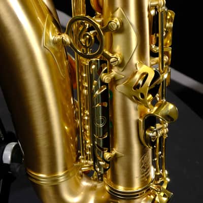 P. Mauriat Le Bravo 200 Alto Saxophone LEBRAVO-200A image 11