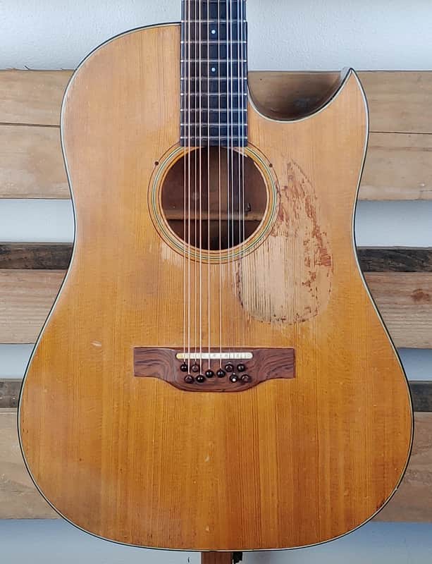 1965 Martin D12-20 Owned by Leo Kottke 10-String with COA Benefits Stropes Foundation image 1