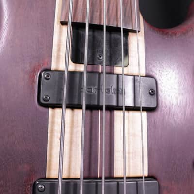 Tobias Fretless 5 String Bass image 7