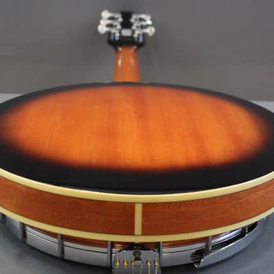 Epiphone Stagebird 6 String Electric Banjo image 9