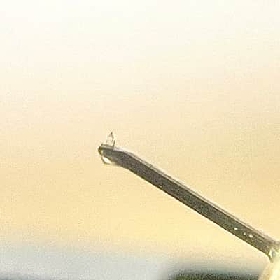 Phase Tech Phasemation P-3 Flagship Low Out put and Low Impedance MC cartridge In Excellent condition image 14
