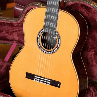 Cordoba C12-CD Cedar Classical Guitar 2026s - Natural - Brand New image 5