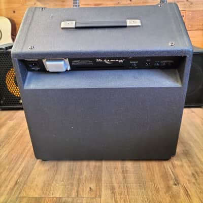 Fender Bassman 60 image 5