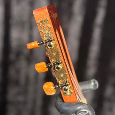 Takamine GY51E Gloss Brown Sunburst image 7