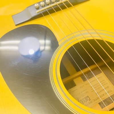Tokai Cat's Eyes CE-300 1970〜80年代 image 18