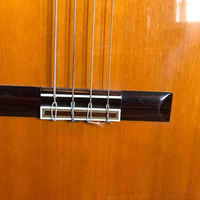 Esteve Octave Bass Guitar (PS75) image 10