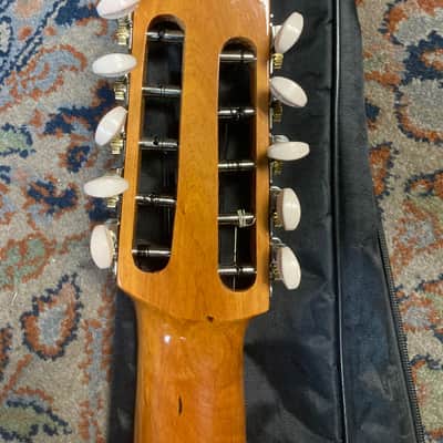 Ronroco 10 String image 7