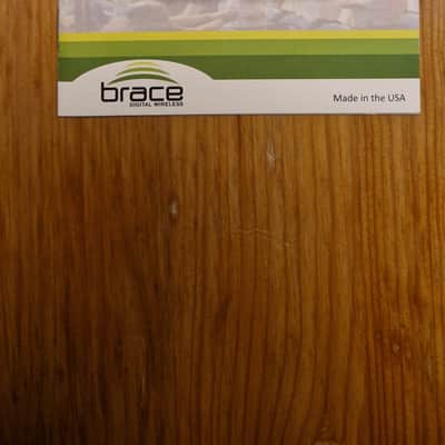 Brace DWG-1000x Digital Wireless image 6