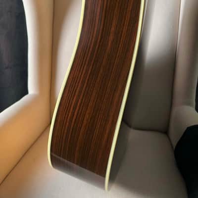 Martin Trey Anastasio Signature Edition DC Fishman Ellipse image 6