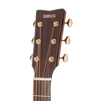 Yamaha Storia III Concert Mahogany Acoustic Electric - Chocolate Brown image 5