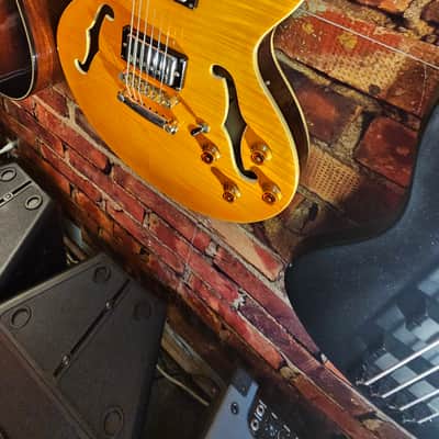 Hamer Echotone 335 Semi Hollow Body Electric Guitar image 6