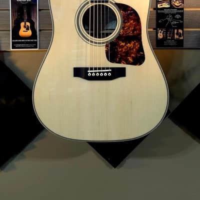 Gallagher G70 2024 - Natural Gloss image 2