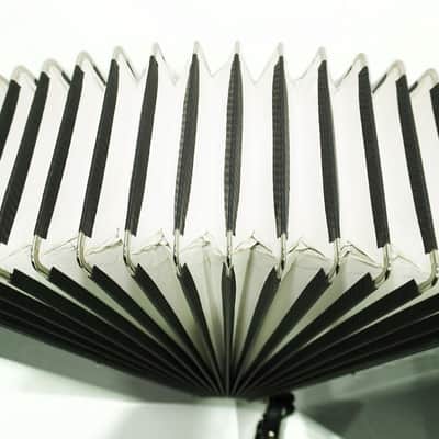 Universum Elegance made in Germany 120 Bass Piano Accordion, New Straps and Soft Case, Keyboard Accordian Musical Instrument Fisarmonica, 2509 image 7