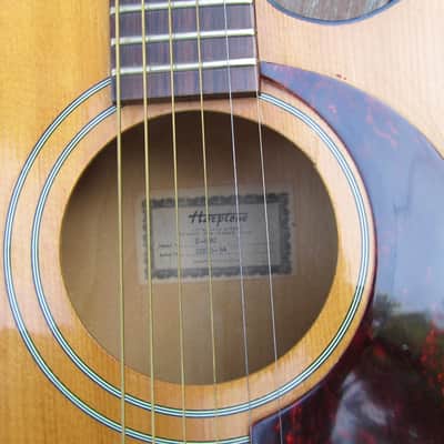 Harptone S-6NC Sultan guitar Sam Koontz vintage 1960s 1970s Vintage arched back cutaway image 12