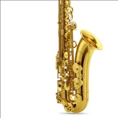 Eldon Bb Tenor Sax Lacquer Outfit With Case, B-Stock, Free Shipping, Authorized Dealer image 2