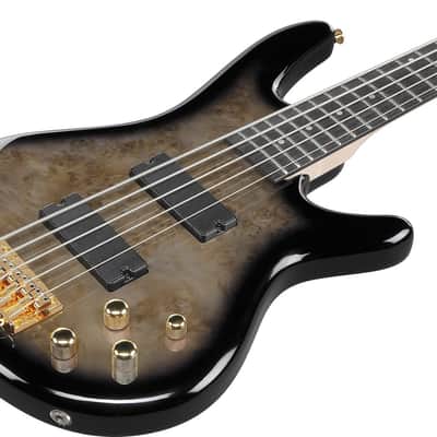 Ibanez GSR205PC GIO 5-String Bass Guitar, Purpleheart Fingerboard, Transparent Pale Black Burst image 4