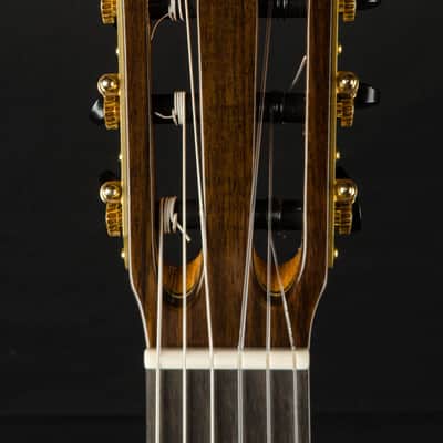 Cordoba Master Series Torres Nylon String -Made in the USA NEW image 12