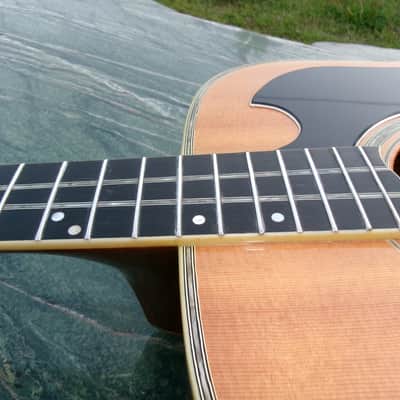 1973 Yairi YW600G Grammer Guitar Style New Jacaranda - Natural+Flight Case image 16