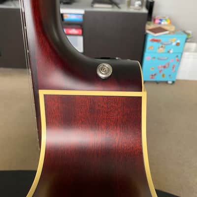Takamine ETN10C-TBS Satin Tobacco Burst image 12