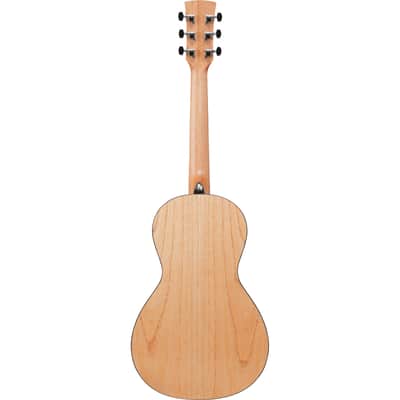 Ibanez PN2MD PN Acoustic Guitar - Open Pore Natural image 3