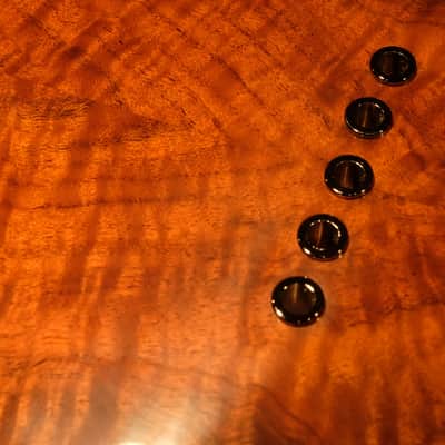 Rick Turner Renaissance  5 String Acoustic Electric Fretless Bass (RB 5-FL) Cherry Sunburst image 8