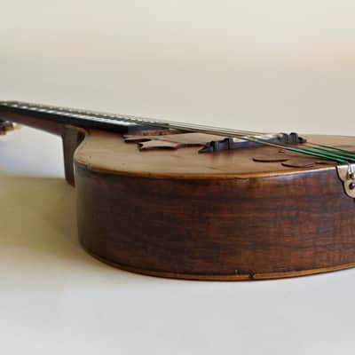 Mandolin by J. Murthwaite Newcastle 1901 image 13