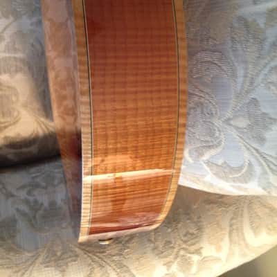 Moll Express Custom 2006 Vintage Burst image 10