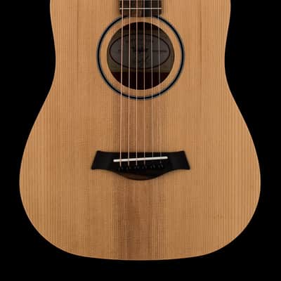 Taylor Baby Taylor (BT1) #86023 (Demonstration Model) image 1