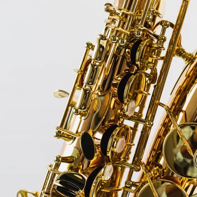 Yanagisawa AWO2 Professional Model Bronze Alto Saxophone image 3