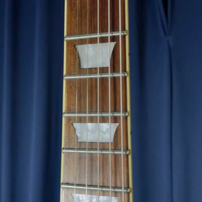 Agile Lefty Les Paul Copy Signed by Dweezil Zappa in 2018 image 7