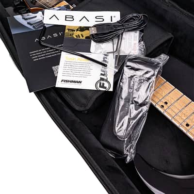 Abasi Concepts Guitars ĒMI 6 // MASTER SERIES // Lunaburst image 20
