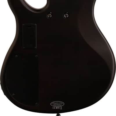 Yamaha TRBX504 4-String Bass Guitar, Rosewood Fingerboard, Translucent Black image 3