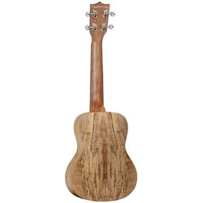 Tanglewood Tiare TWT10 Spalted Maple Concert Ukulele image 2