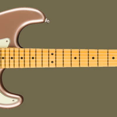 Fender American Professional Classic Stratocaster Faded Firemist Gold incl Gig Bag image 1