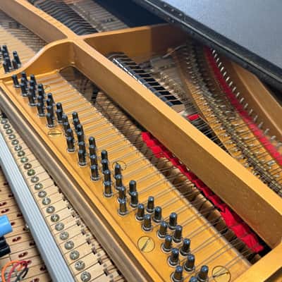 Yamaha CP-80 Electric Grand Piano 1976 - 1985 - Black image 8
