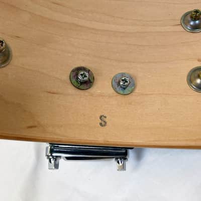 Premier Signia Marquis 5x14 Emerald Green Maple Snare Drum FREE Shipping! image 8