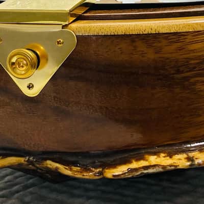 Turtle shell tenor banjo image 6