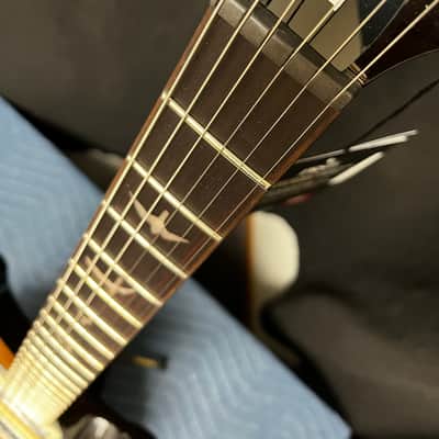 PRS SE DGT David Grissom Tremolo Signature - McCarty Tobacco Sunburst image 6