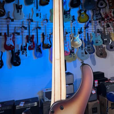 Ibanez Bass Workshop EHB600 Electric Bass Guitar - Charred Champagne Burst Matte, Free Plek! 505 image 9