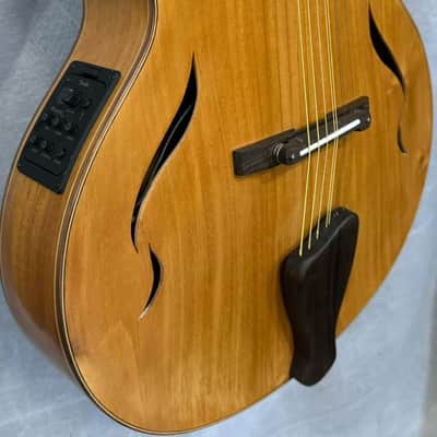 Blueberry Handmade Nine String Archtop Guitar Built to Order image 7