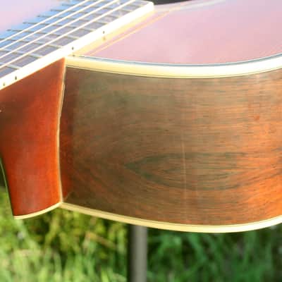 Morris TF-60 D size Guitar Jacaranda Body 1990's - Natural+Hard Case FREE image 13