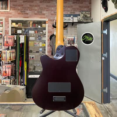 Godin A12 Natural SG 12 String 2022 image 6