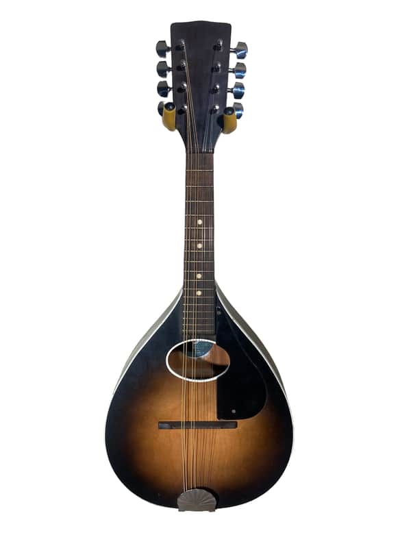 Kay/Harmony Mandolin 60's? - In-House Adjusted image 1
