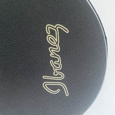 Ibanez 41 Inch Acoustic Guitar Hard Case in Black image 7