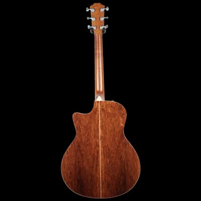 Taylor Custom GS Honduran Rosewood & Bearclaw Spruce GS BTO image 4